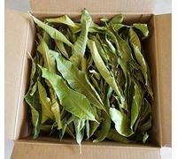 Artistic Solutions Organic Mangifera indica Dried Dry Mango Leaves Leaf forTea 50g (approx 35-45 Leaves)
