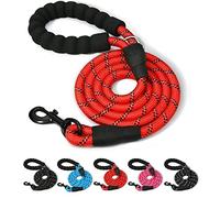 ARTISTRY 5 FT Dog Lead for Large, Medium and Small Dogs | 150 cm Highly Reflective Dog Leash with Comfortable handle | Multi Colors Soft Padded Dog Leads Perfect for Indoor & Outdoor Use