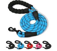 ARTISTRY 5 FT Dog Lead for Large, Medium and Small Dogs | 150 cm Highly Reflective Dog Leash with Comfortable handle | Multi Colors Soft Padded Dog Leads Perfect for Indoor & Outdoor Use