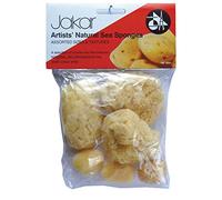 Artists' Natural Sea Sponges Assorted Sizes and Shapes