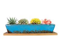 ARTKETTY 25cm Ceramic Succulent Plant Pots, Modern Long Rectangle Flower Plant Containers with Tray, Shallow Cactus Bonsai Window Box with Drainage for Indoor/Outdoor Home Decor(Blue)