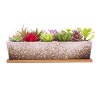 ARTKETTY 30cm Ceramic Succulent Plant Pots, Modern Long Rectangle Flower Plant Containers with Tray, Shallow Cactus Bonsai Window Box with Drainage for Indoor/Outdoor Home Decor(White)