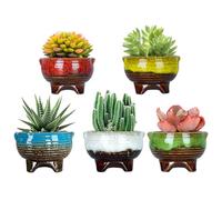 ARTKETTY Ceramic Succulent Plant Pots Small Cactus Pots, 10CM Glazed Flower Plant Container with Drainage Home Garden Decoration Pack of 5