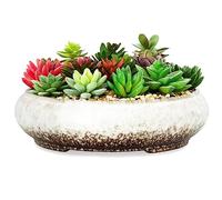 ARTKETTY Plant Pot - 29CM Large Bonsai Pot with Drainage Shallow Ceramic Succulent Plant Pot Indoor/Outdoor, Glazed Cactus Flower Plant Container Bowl for Home Garden Decor