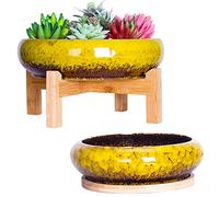 ARTKETTY Plant Pots Indoor - 18.5/25 CM Large Bonsai Pots with Trays Set of 2, Colorful Succulent Plant Pots Ceramic Pots for Cactus Plants Garden Decorative Flower Pot