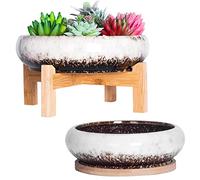 ARTKETTY Plant Pots Indoor - 18.5/25 CM Large Bonsai Pots with Trays Set of 2, Colorful Succulent Plant Pots Ceramic Pots for Cactus Plants Garden Decorative Flower Pot