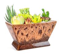 ARTKETTY Plant Pots - Large Succulent Planters Pots with Drainage, Ceramic Pots for Indoor Outdoor Cactus Plants Glazed Bonsai Flower Planter Container for Desk Windowsill Decor
