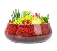 ARTKETTY Succulent Plant Pot - 20 CM Large Bonsai Pots with Drainage, Ceramic Planters for Indoor Outdoor Plants, Round Shallow Cactus Flower Plant Container Bowl