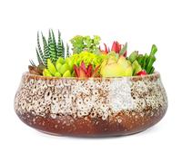 ARTKETTY Succulent Plant Pot - 20 CM Large Bonsai Pots with Drainage, Ceramic Planters for Indoor Outdoor Plants, Round Shallow Cactus Flower Plant Container Bowl