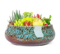 ARTKETTY Succulent Plant Pot - 20 CM Large Bonsai Pots with Drainage, Ceramic Planters for Indoor Outdoor Plants, Round Shallow Cactus Flower Plant Container Bowl