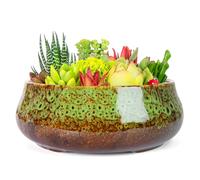 ARTKETTY Succulent Plant Pot - 20 CM Large Bonsai Pots with Drainage, Ceramic Planters for Indoor Outdoor Plants, Round Shallow Cactus Flower Plant Container Bowl