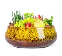 ARTKETTY Succulent Plant Pot - 20 CM Large Bonsai Pots with Drainage, Ceramic Planters for Indoor Outdoor Plants, Round Shallow Cactus Flower Plant Container Bowl