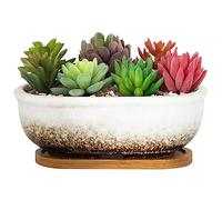 ARTKETTY Succulent Plant Pot - 20 CM Rectangular Planters for Indoor Plants Ceramic Bonsai Pot with Drainage Tray Small Flower Plant Pot Home Garden Window Box