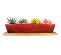 ARTKETTY Succulent Plant Pot - 25 CM Long Rectangle Planters with Drainage Tray, Large Ceramic Pot for Indoor Cactus Flower Plants, Shallow Window Box for Home Decor