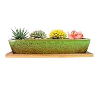 ARTKETTY Succulent Plant Pot - 25 CM Long Rectangle Planters with Drainage Tray, Large Ceramic Pot for Indoor Cactus Flower Plants, Shallow Window Box for Home Decor