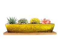 ARTKETTY Succulent Plant Pot - 25 CM Long Rectangle Planters with Drainage Tray, Large Ceramic Pot for Indoor Cactus Flower Plants, Shallow Window Box for Home Decor