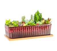 ARTKETTY Succulent Plant Pot - 30.5 CM Large Window Sill Planter with Drainage Tray, Long Rectangle Ceramic Pots for Indoor Cactus Plants Shallow Bonsai Window Box for Home