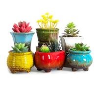 ARTKETTY Succulent Plant Pot - 6PCS Ceramic Plant Pots with Drainage, Small Pot for Indoor Cactus Flower Plants Decorative Garden Home Office