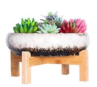 ARTKETTY Succulent Plant Pot - Large Bonsai Pot with Stand Shallow Cactus Plant Pot with Mess Drainage Screen, 25.4 CM Ceramic Flower Plant Container Bowl for Indoor/Outdoor (White)