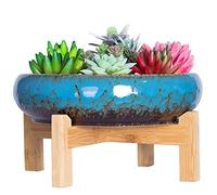 ARTKETTY Succulent Plant Pot - Large Bonsai Pot with Stand Shallow Cactus Plant Pot with Mess Drainage Screen, 25.4 CM Ceramic Flower Plant Container Bowl for Indoor/Outdoor (Blue)