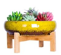 ARTKETTY Succulent Plant Pot - Large Bonsai Pot with Stand Shallow Cactus Plant Pot with Mess Drainage Screen, 25.4 CM Ceramic Flower Plant Container Bowl for Indoor/Outdoor (Yellow)