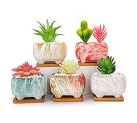 ARTKETTY Succulent Plant Pots - 11.9 CM Rectangular Cactus Plant Pot with Drainage Hole and Trays Modern Ceramic Flower Plant Bonsai Pot for Windowsill, Office, Home/Garden Decor(Set of 5)