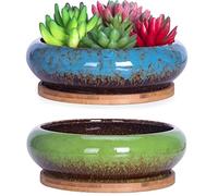 ARTKETTY Succulent Plant Pots, 2 PCS Large Bonsai Pot with Trays, Shallow Plant Pot Ceramic Pots for Indoor Cactus Flower Plants Decorative Garden Home Office