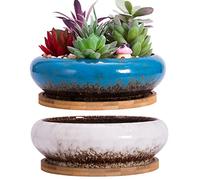 ARTKETTY Succulent Plant Pots, 2 PCS Large Bonsai Pot with Trays, Shallow Plant Pot Ceramic Pots for Indoor Cactus Flower Plants Decorative Garden Home Office