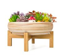 ARTKETTY Succulent Plant Pots - 25.5CM Large Bonsai Pot with Drainage Stand, Shallow Succulent Planters for Indoor Plants Decorative Flower Cactus Planter Bowl