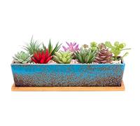 ARTKETTY Succulent Plant Pots, 30 CM Long Rectangle Succulent Plant Pots with Drainage Tray, Large Ceramic Cactus Flower Plants for Indoor/Outdoor Plants Shallow Bonsai Window Box Home Decor