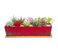 ARTKETTY Succulent Plant Pots, 30 CM Long Rectangle Succulent Plant Pots with Drainage Tray, Large Ceramic Cactus Flower Plants for Indoor/Outdoor Plants Shallow Bonsai Window Box Home Decor, Red