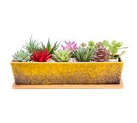 ARTKETTY Succulent Plant Pots, 30 CM Long Rectangle Succulent Plant Pots with Drainage Tray, Large Ceramic Cactus Flower Plants for Indoor/Outdoor Plants Shallow Bonsai Window Box Home Decor