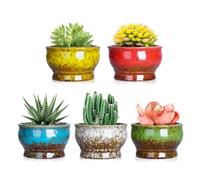 ARTKETTY Succulent Plant Pots - Ceramic Cactus Plant Pots with Drainage Pack of 5, Small Plants Pots for Indoor/Outdoor Plants Flower Bonsai Plant Container Bowl