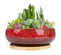 ARTKETTY Succulent Pots - 20 CM Large Succulent Planters Ceramic Bonsai Pot with Drainage Tray for Indoor Plants Garden Decorative Cactus Flower Plant Container Bowl