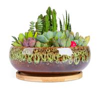 ARTKETTY Succulent Pots - 20 CM Large Succulent Planters Ceramic Bonsai Pot with Drainage Tray for Indoor Plants Garden Decorative Cactus Flower Plant Container Bowl