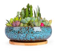 ARTKETTY Succulent Pots - 20 CM Large Succulent Planters Ceramic Bonsai Pot with Drainage Tray for Indoor Plants Garden Decorative Cactus Flower Plant Container Bowl