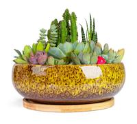 ARTKETTY Succulent Pots - 20 CM Large Succulent Planters Ceramic Bonsai Pot with Drainage Tray for Indoor Plants Garden Decorative Cactus Flower Plant Container Bowl