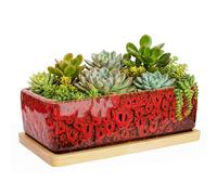 ARTKETTY Succulent Pots - 7 Inch Large Succulent Planters with Drainage Tray, Window Sill Planter, Long Rectangle Ceramic Pots for Indoor Cactus Plants Shallow Bonsai Window Box for Home Garden Decor