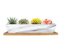 ARTKETTY Succulent Pots, 9.8 Inch Ceramic Succulent Planters with Drainage Small Bonsai Pot with Bamboo Tray, Mini Cactus Flower Planter Pot Shallow Rectangular Window Planters for Indoor Plants