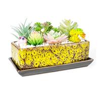 ARTKETTY Succulent Pots - Long Rectangle Succulent Planters with Drainage Tray, Window Sill Planter, Ceramic Pots for Indoor Cactus Plants Shallow Bonsai Window Box for Home Garden Decor