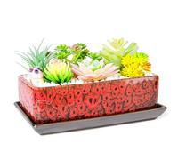 ARTKETTY Succulent Pots - Long Rectangle Succulent Planters with Drainage Tray, Window Sill Planter, Ceramic Pots for Indoor Cactus Plants Shallow Bonsai Window Box for Home Garden Decor
