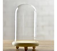 Artlass Glass Cloche Bell Jar Dome With wooden Tray Diameter 10 cm (Large)