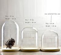 Artlass Glass Cloche Bell Jar Dome With wooden Tray Diameter 15 cm (Small)