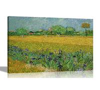 Artley Prints Field with Flowers Near Arles by Vincent Van Gogh Canvas Wall Art l Landscape Colourful Framed Pictures l Landscape Artwork Large 76 x 50cm (30 x 20 inches)