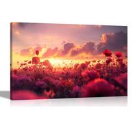 Artley Prints - Red Poppy Flower Field Cloudy Sky Canvas Wall Art Prints Scenary Decoration Home Office Bedroom Floral Pictures 76 x 50cm (30 x 20 inches)