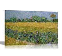 Artley Prints View of Arles with Irises by Vincent Van Gogh Canvas Wall Art Prints | Home Decor Contemporary Moden Pictures Abstract 60 x 40cm (24 x 16 inches) A2