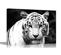 Artley Prints White Tiger Blue Eyes Sunrise Canvas Art Pictures Framed Hanging Stretched Bedroom Modern Kids Artwork 40 x 30cm (16 x 12 inches)