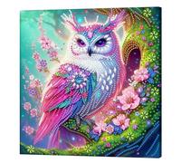Artline Pink Owl Special Shaped 5D DIY Partial Drill Diamond Painting Kits for Adults Beginners Home Decor Diamonds Paintings Gem Art with Frame 25x25cm