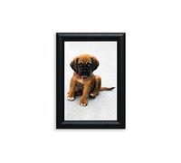 Artmaxx A5 Black Photo Frames, Set of 2, Quality Wooden Frame Classic slim Design