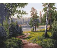 Artnapi Paint by Numbers Adults without Frame | DIY Hand Painted | Forest Road | Kit for Beginners and Adults | Set Including Acrylic Paints & Brush | 40 x 50 cm Canvas